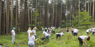 1000 нови дръвчета бяха засадени край Железница
