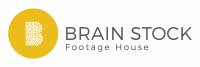Brain Stock Footage House