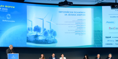 Теменужка Петкова: До 2030 г. 27,9% от енергийното потребление в България ще е на възобновяема енергия