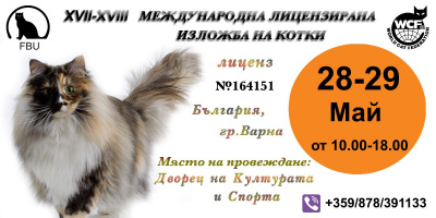 XVII И XVIII Международна лицензирана изложба за котки