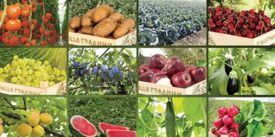 Български земеделци представят продукцията си пред 9 BILLA магазинa