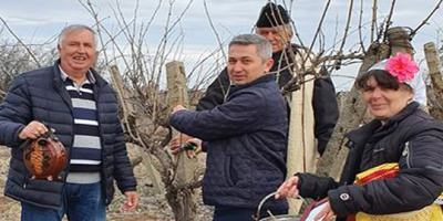 Зарязаха лозята в Сусам за деня на Трифон Зарезан