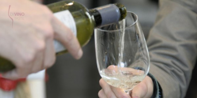 DiVino.Taste - възможност да дегустирате най-доброто българско вино