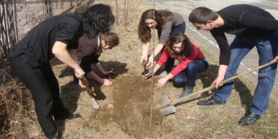 Природолюбители от Ардино засадиха дръвчета 