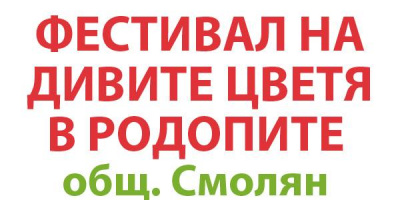 Фестивал на дивите цветя започва на 20 юни с „мейл арт“ изложба „Дивите цветя“