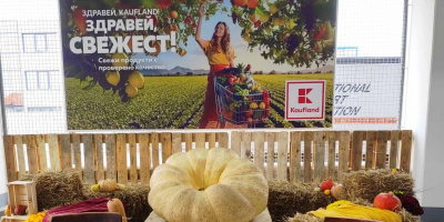 Най-голямата тиква в Източна Европа пристига в Kaufland Горубляне