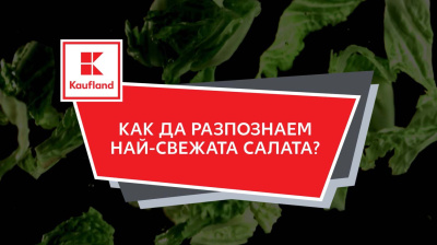 Kaufland: Българската къдрава маруля е най-предпочитана от всички зелени салати