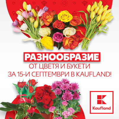 Разнообразие от цветя и букети на изгодни цени за 15-и септември в Kaufland
