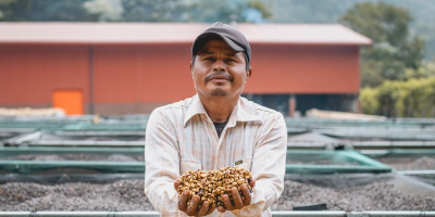 DABOV Specialty Coffee представя новия си шедьовър – Pacamara от Ел Салвадор, носител на 88,8 точки от Cup of Excellence 2025