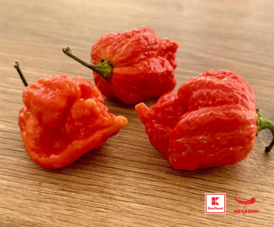 Нов сорт български люти чушки вече в магазините на Kaufland