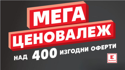 Есента идва с листосъбирач и верижен трион с 50% намаление в Kaufland 