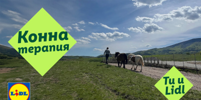 История за надежда: конете, които помагат на деца със специални потребности