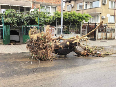 Раздават помощи за пострадалите от наводнението в Царево