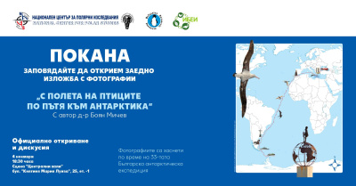 От Черно море до ледената Антарктика – изложба в Централни хали разкрива удивителното разнообразие на птиците по света