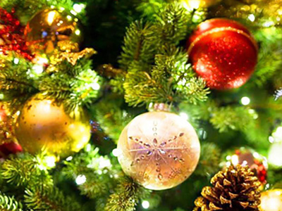 Коледната елха в Ардино ще грейне на 3 декември