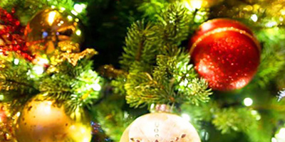 Коледната елха в Ардино ще грейне на 3 декември