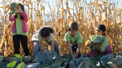 Как практическото учене помага на децата да разберат пътя на храната?