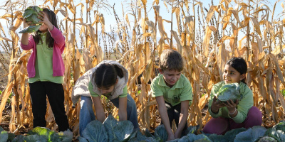 Как практическото учене помага на децата да разберат пътя на храната?