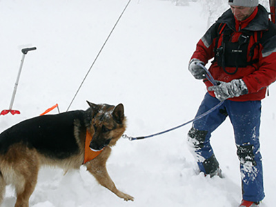 52-годишен скиор загина в Пирин, спасителите апелират за внимание