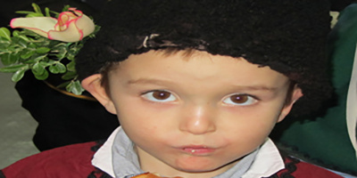 В Кошарица отбелязаха празник на домашната наденица