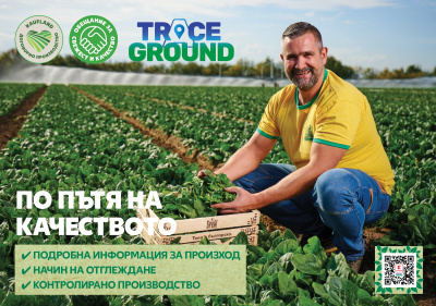 QR код проследява произхода на плодовете и зеленчуците в Kaufland