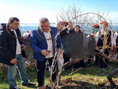 1 тон червено вино раздадоха за Св. Трифон Зарезан в Свети Влас
