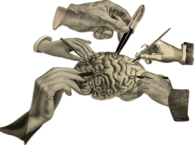 Angelini Pharma и Quiver Bioscience сключиха споразумение за разработване на нови терапевтични средства за генетични епилепсии