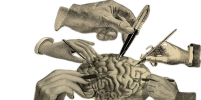 Angelini Pharma и Quiver Bioscience сключиха споразумение за разработване на нови терапевтични средства за генетични епилепсии