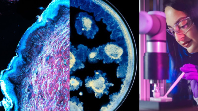 L’Oréal стартира нови изследвания за здравето на кожата със световно признатия научен център Институт „Пастьор“