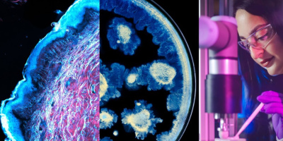 L’Oréal стартира нови изследвания за здравето на кожата със световно признатия научен център Институт „Пастьор“