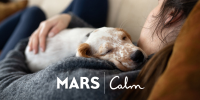 83% от стопаните казват, че домашните любимци подобряват психичното им здраве