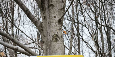 Нови 400 км и 11 ключови туристически локации ще бъдат премаркирани през тази година