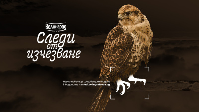 Пътуващата изложба „Следи от изчезване“ пристига в Стара Загора, за да разкаже за застрашените видове в България