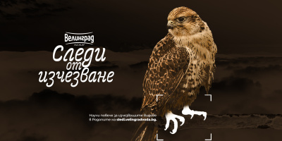 Пътуващата изложба „Следи от изчезване“ пристига в Стара Загора, за да разкаже за застрашените видове в България