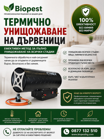 Термично унищожаване на дървеници – ефективно решение без компромиси