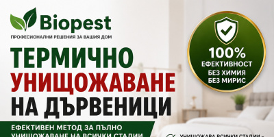 Термично унищожаване на дървеници – ефективно решение без компромиси