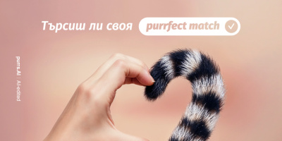 Сердика Център и Purrs търсят дом за котета с кампанията „Намери своя Purrfect Match“