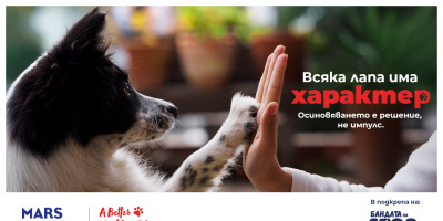 Стартира кампанията „Всяка лапа има характер“ за повече успешни осиновявания в България